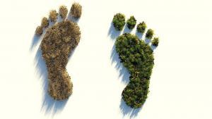 Carbon footprint: impronta di carbonio